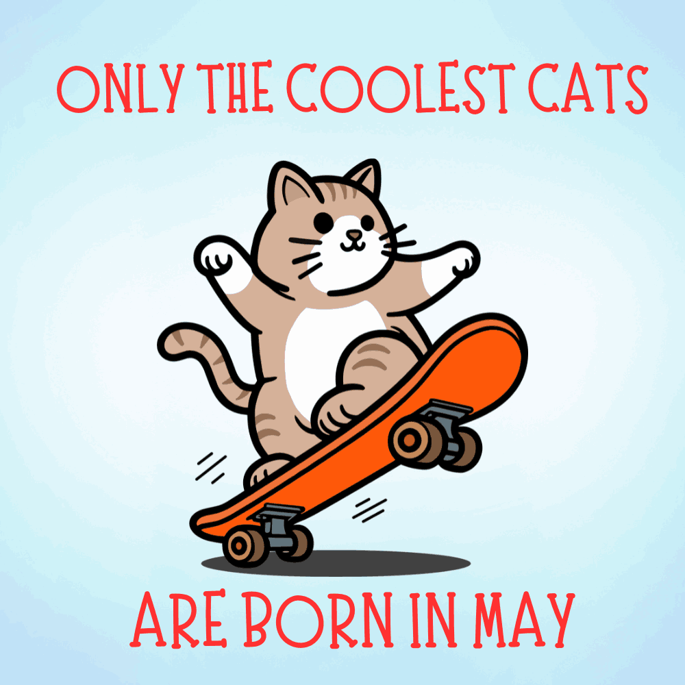 Coolest Cat Birthday eCard